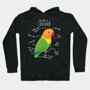 Fischer's Lovebird Parrot Anatomy Hoodie